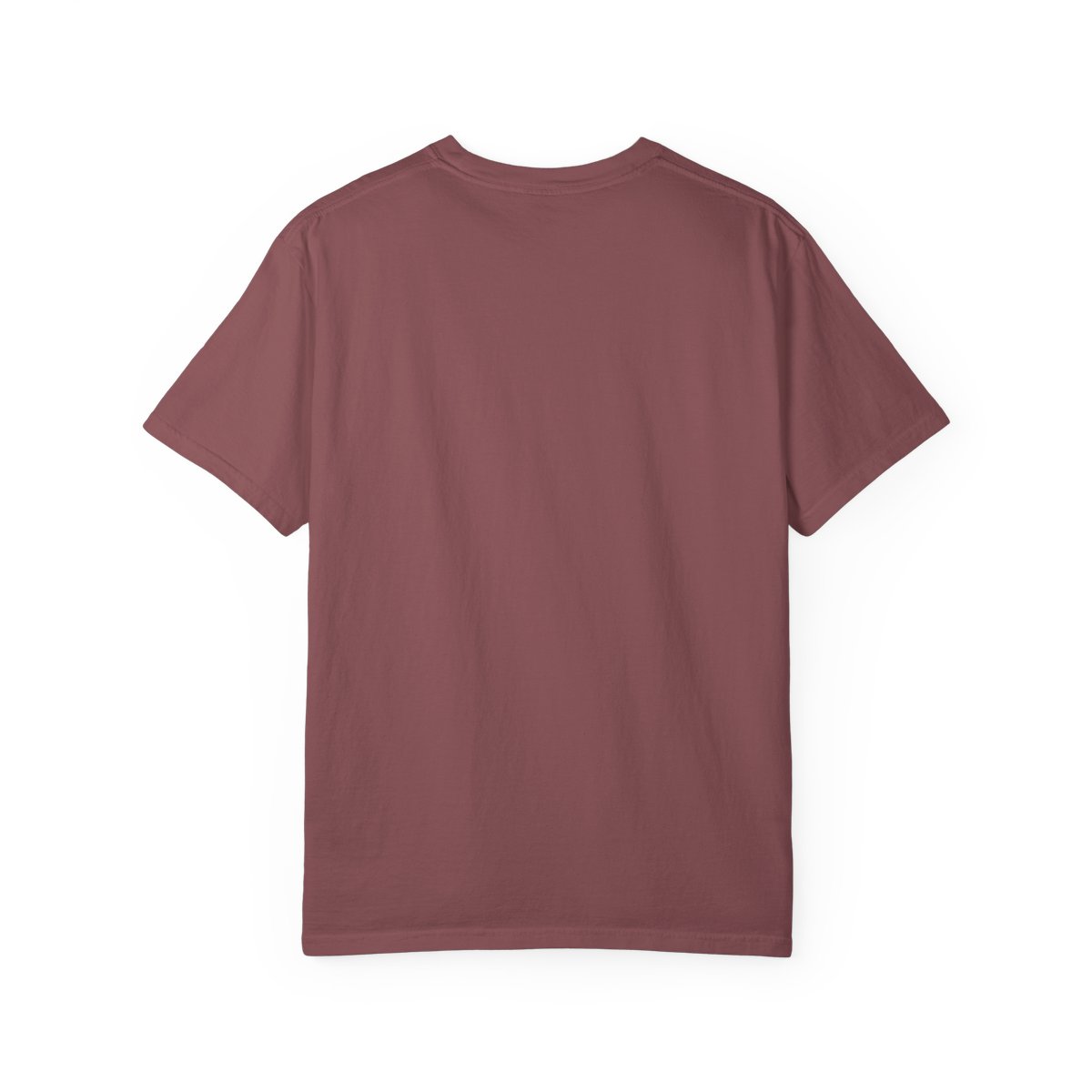 Adorable Chibi Litleo Pokémon T-Shirt - alternate angle 1, merchandise